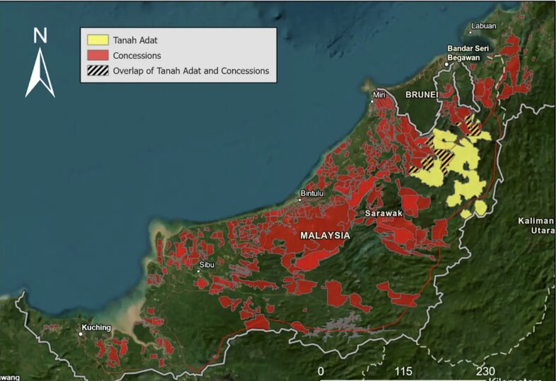 EU Must Classify Sarawak Timber As “High Risk” Under New Rules Says Joint NGO Report